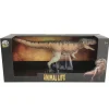 Animal Life, Tyrannosaurus Rex stor