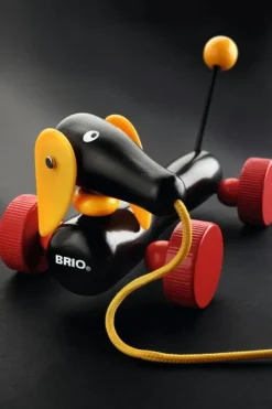 BRIO, Dachs