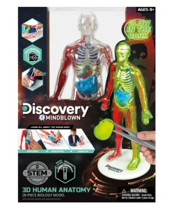 Discovery - Toy Anatomy Human Kit Glow in the Dark 28pc
