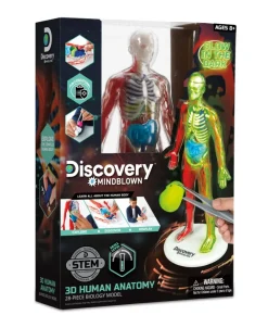 Discovery - Toy Anatomy Human Kit Glow in the Dark 28pc