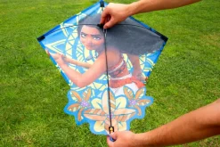 Disney Pop Up Diamond Drage, Moana, Drageveske