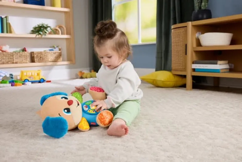 Fisher Price Laugh & Learn Puppy