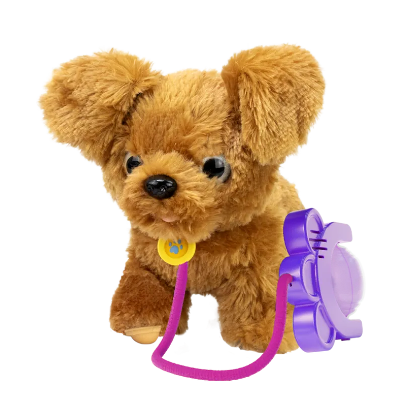 Sprint - Golden Doodle