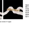 Trapets og Romerske Ringer – komplett gymnastikksett for barn